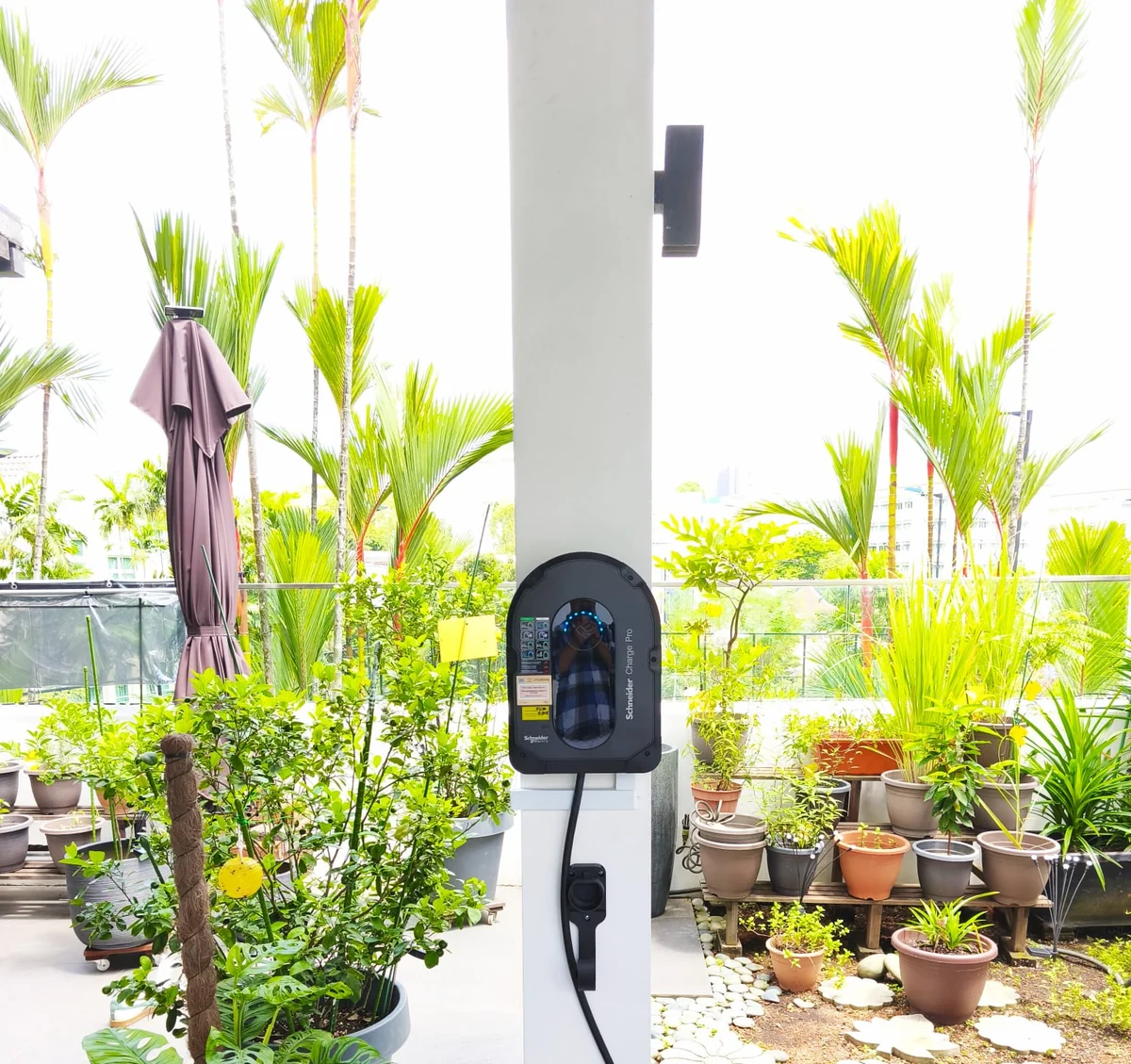 A black Schneider Charge Pro on a white pillar on a planted rooftop terrace, surrounded by potted citrus and palms with a folded parasol behind.